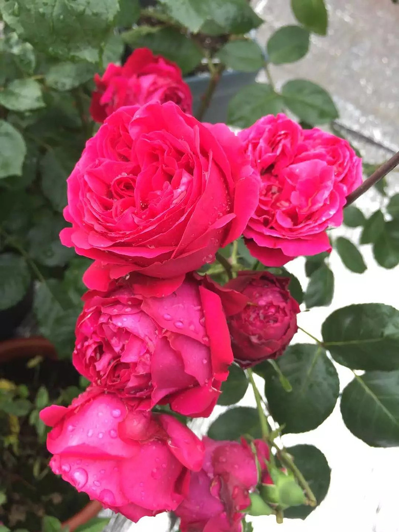 ����һ���¼�