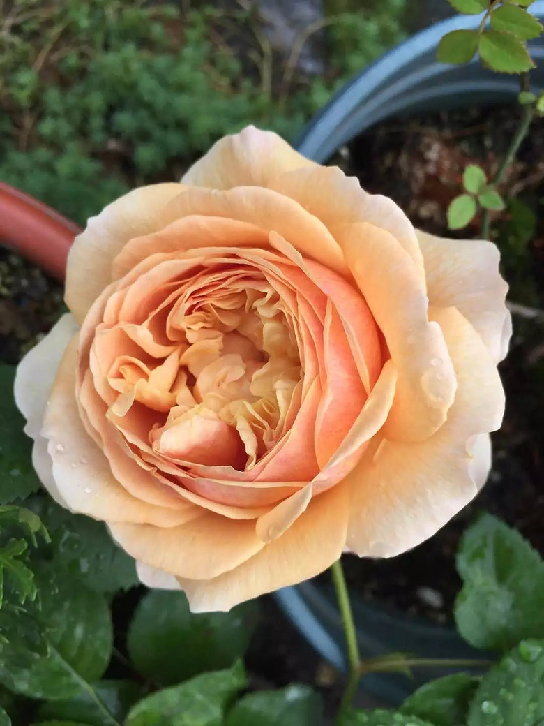 ����һ���¼�