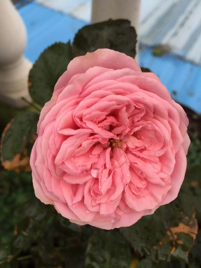 ����һ���¼�