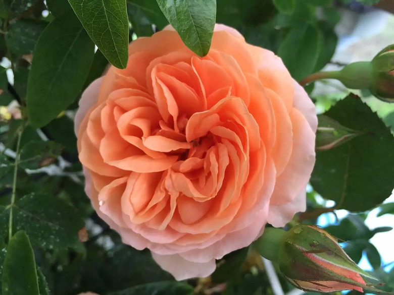 ����һ���¼�