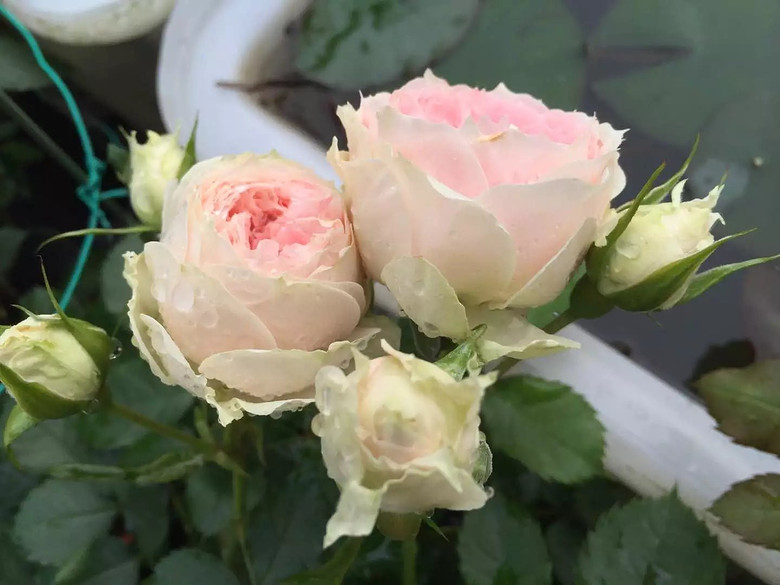 ����һ���¼�