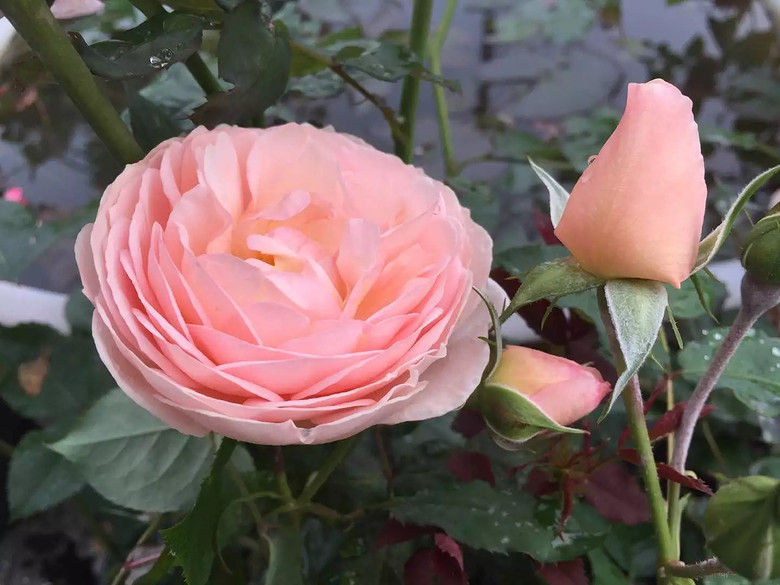 ����һ���¼�