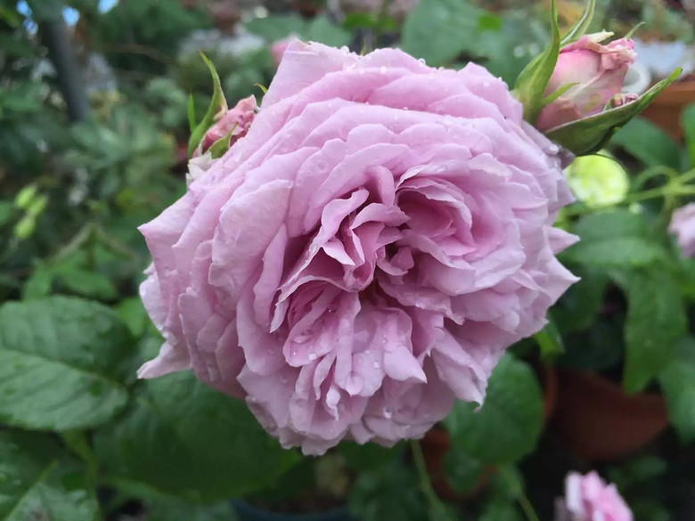 ����һ���¼�