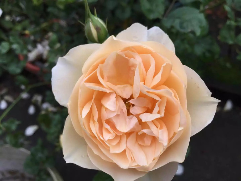 ����һ���¼�