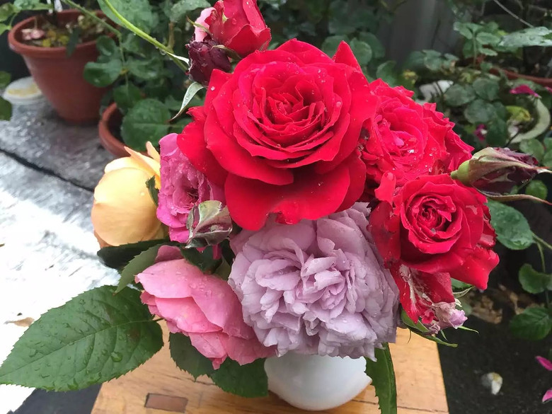 ����һ���¼�