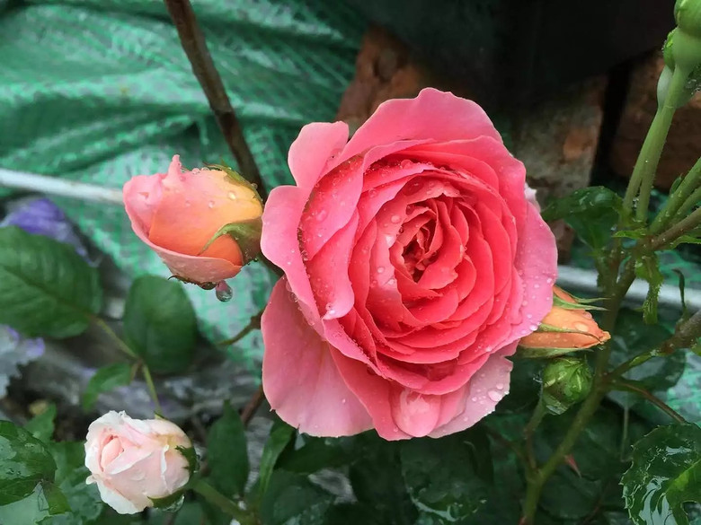 ����һ���¼�