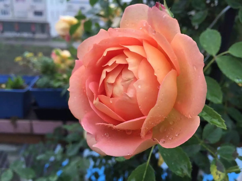 ����һ���¼�