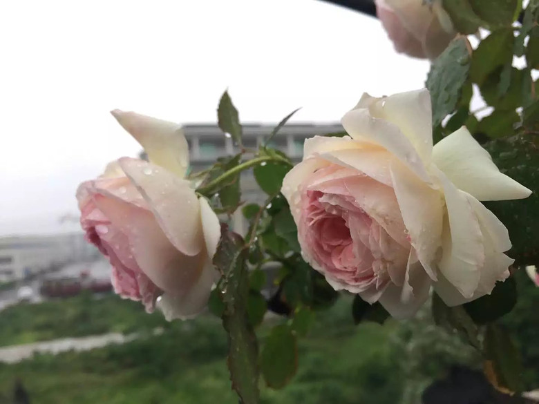 ����һ���¼�