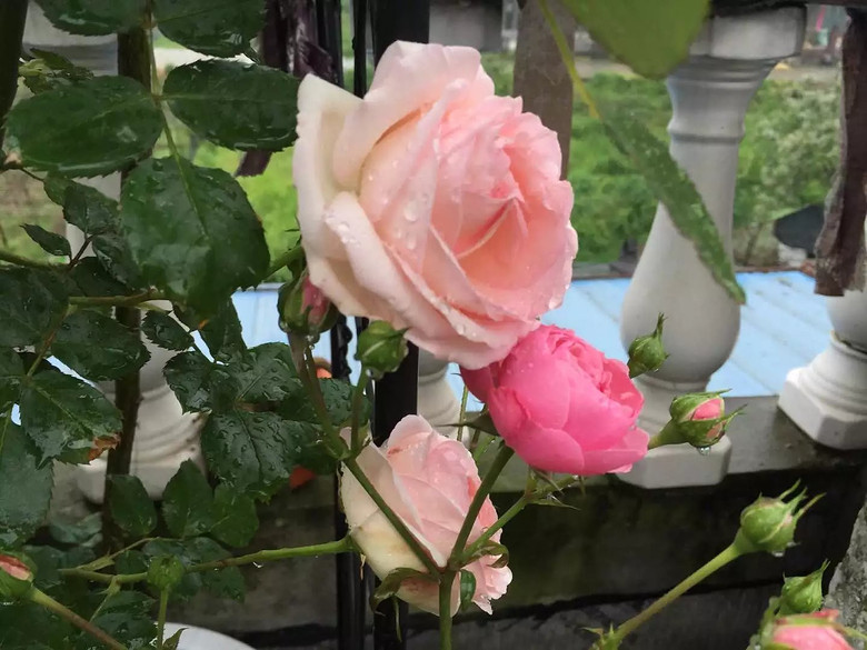 ����һ���¼�