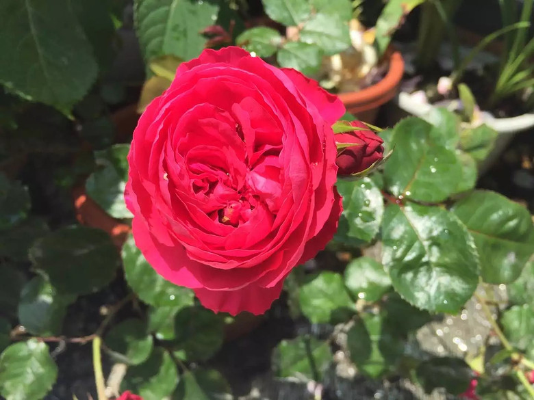 ����һ���¼�