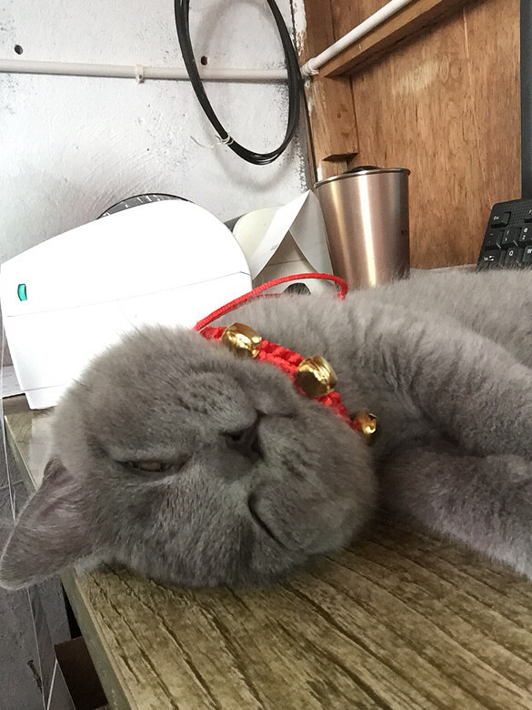 Ԫ�������˯��ǧ��ٹ�