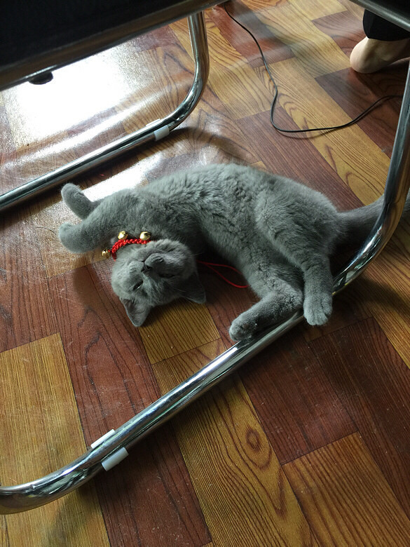 Ԫ�������˯��ǧ��ٹ�