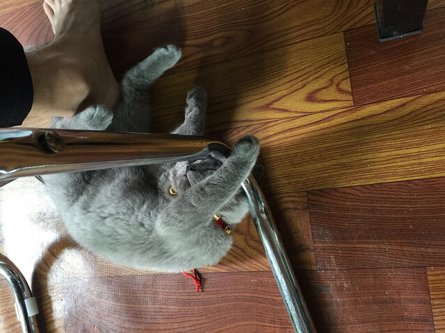 Ԫ�������˯��ǧ��ٹ�