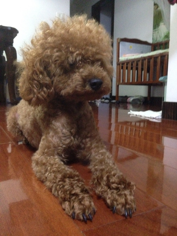 ����Цһ��