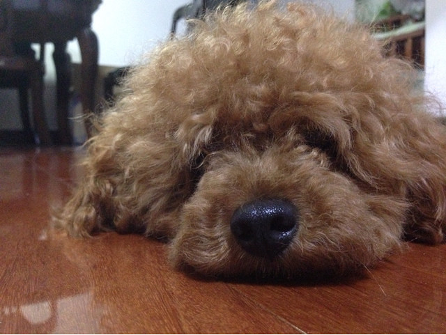 ����Цһ��