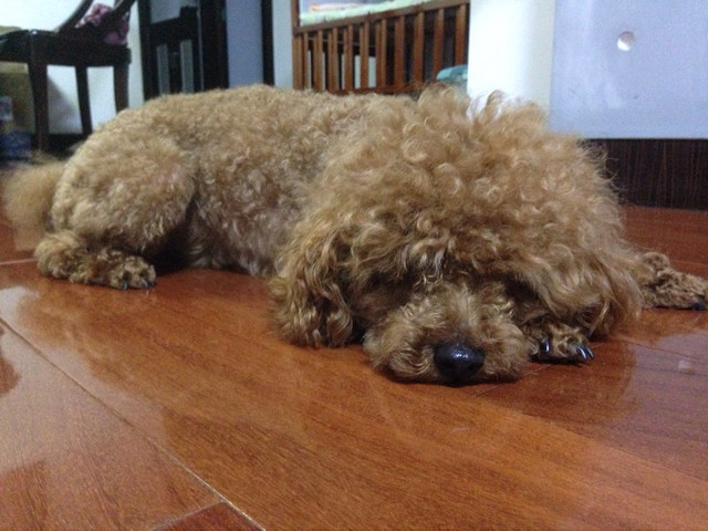 ����Цһ��