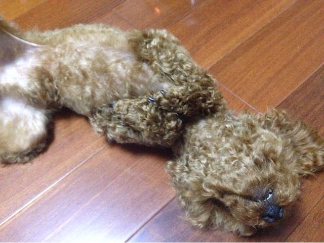 ����Цһ��