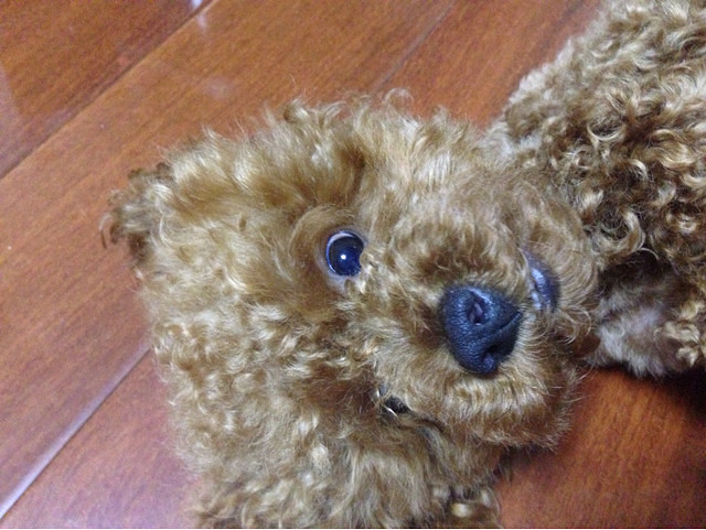 ����Цһ��