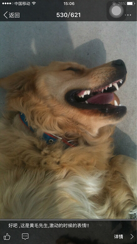 #�ȳ����#���¸߶ȣ������¸߶�