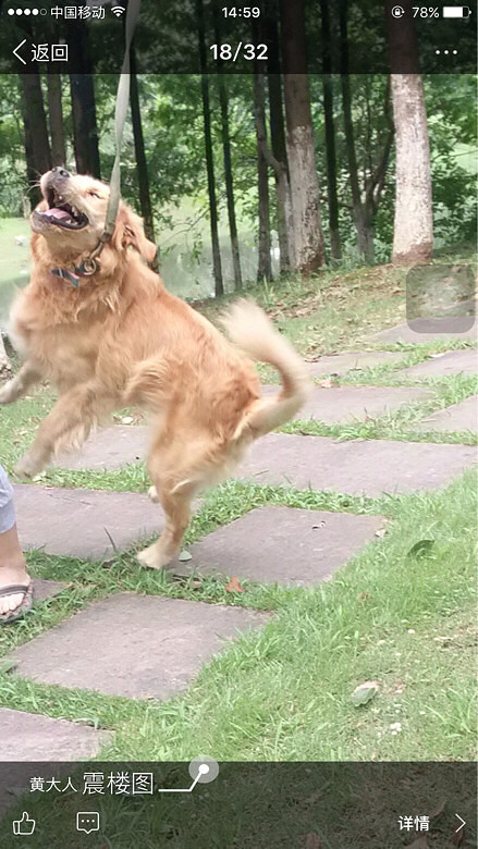 #�ȳ����#���¸߶ȣ������¸߶�