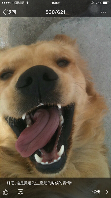 #�ȳ����#���¸߶ȣ������¸߶�