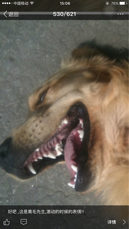 #�ȳ����#���¸߶ȣ������¸߶�