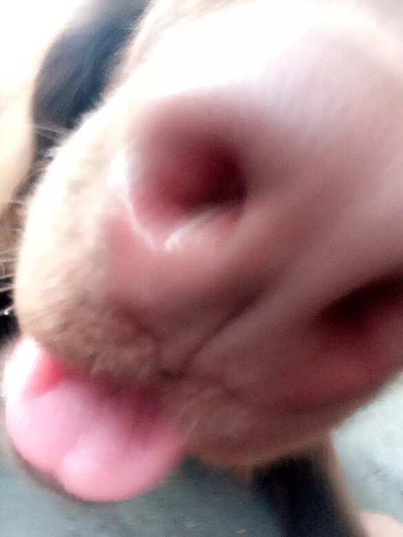 #�ȳ����#���¸߶ȣ������¸߶�