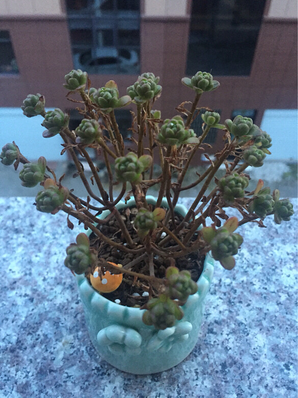 �ҵĶ�����ô�������ˣ�������