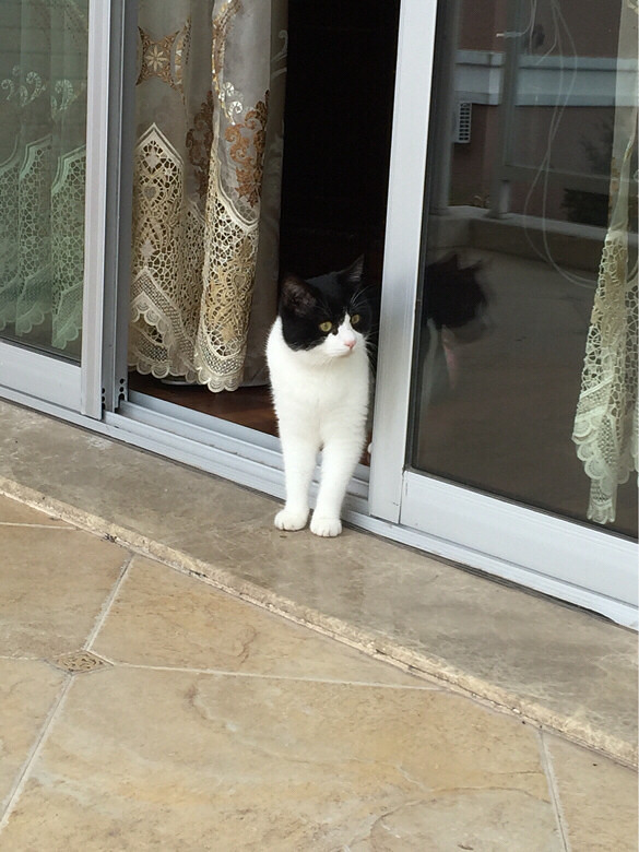 Сè������ͣ�������̨�أ�