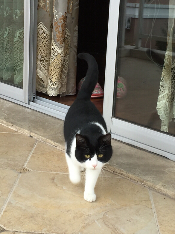 Сè������ͣ�������̨�أ�