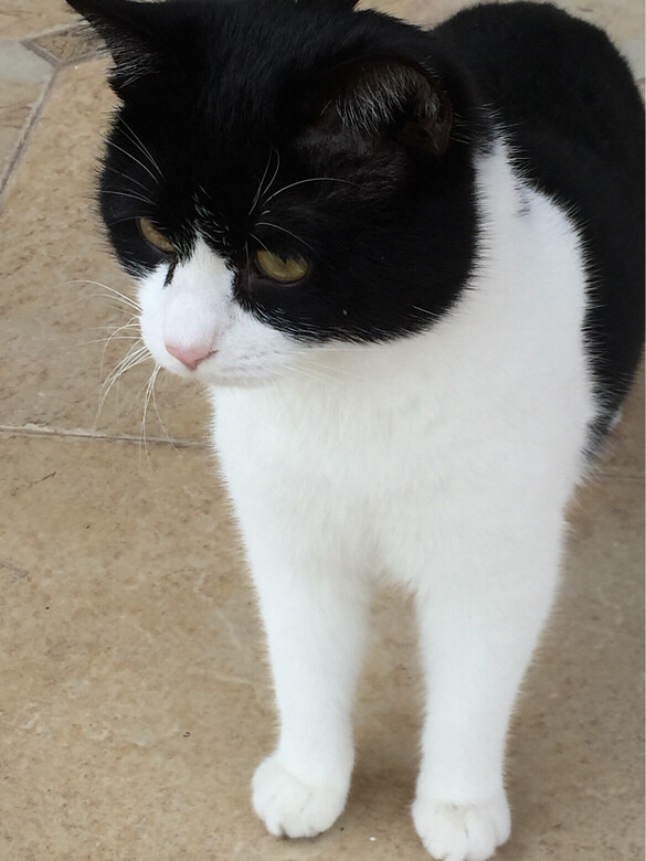 Сè������ͣ�������̨�أ�