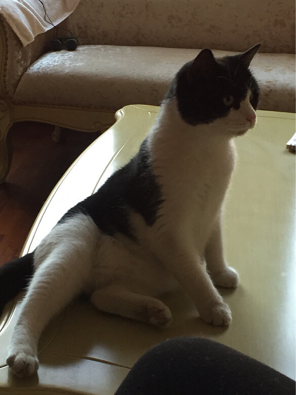 Сè������ͣ�������̨�أ�