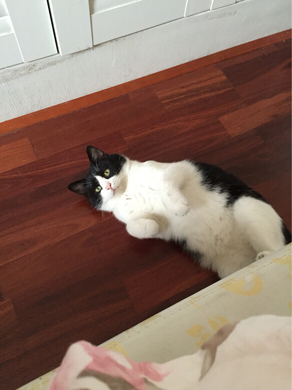 Сè������ͣ�������̨�أ�