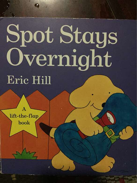 »汾¡spot stays overnight