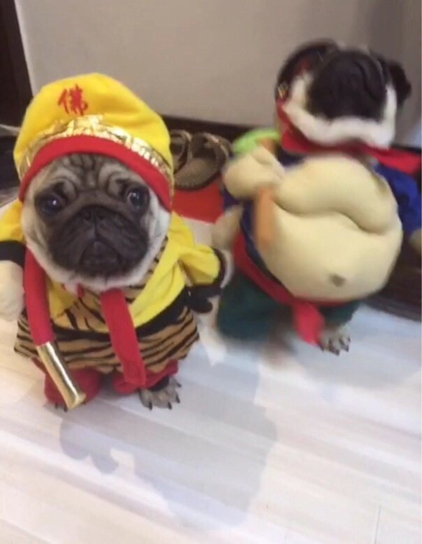 ��һ��磬��ģ����