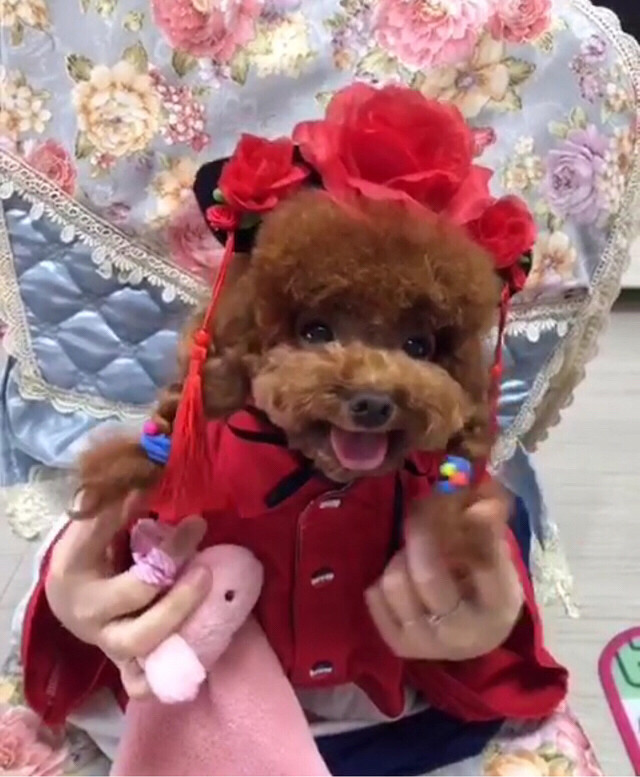 ��һ��磬��ģ����