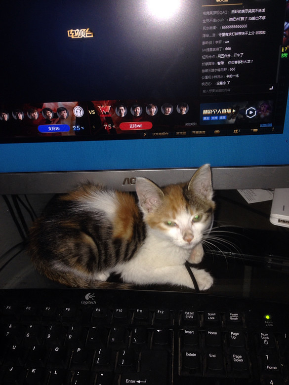 ���۾���������