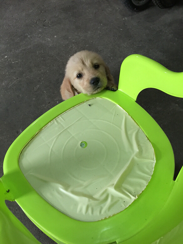 С����