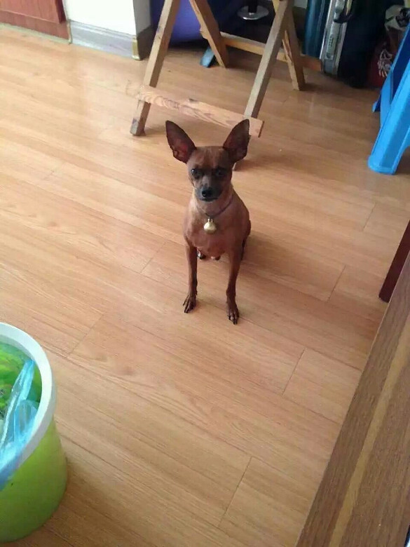 ���А�Ȯ��ʧ��Ո�����ˎ�æ���⣬�f�ָ��x��