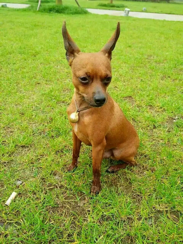 ���А�Ȯ��ʧ��Ո�����ˎ�æ���⣬�f�ָ��x��