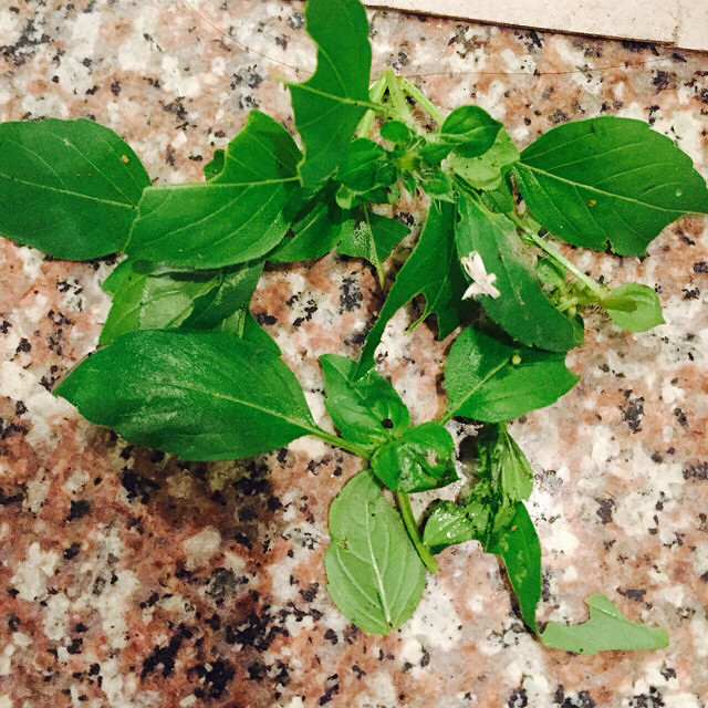 ԭ���������ݰ�