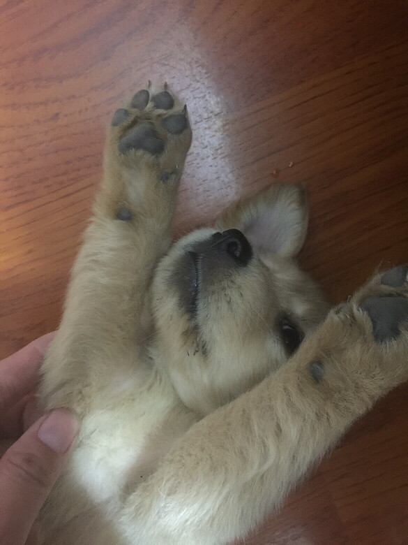 �����ֱ����Ǹ����³���