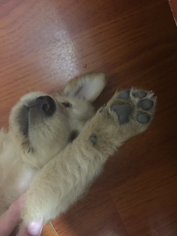 �����ֱ����Ǹ����³���