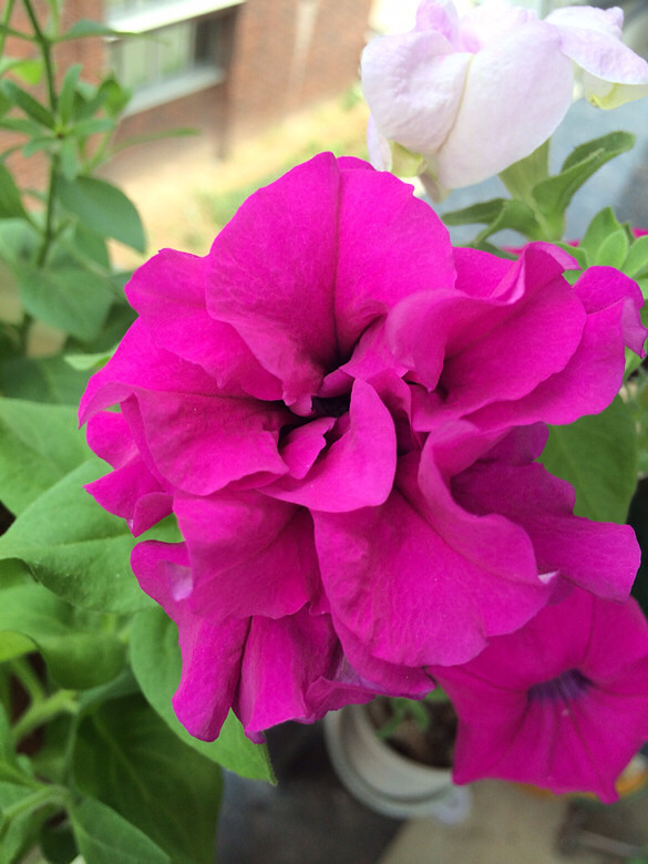 ����������