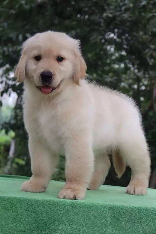 ����
