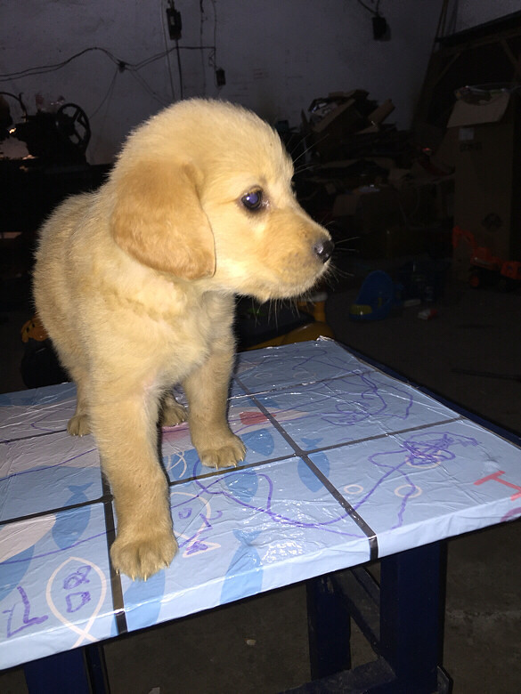 ����������ȥ����꣬���Ƕ�����������