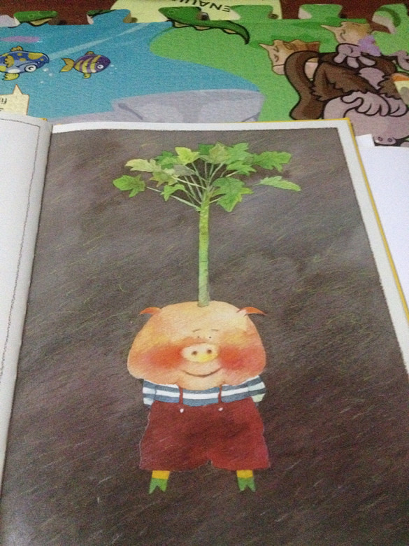 ��6�»汾���Ӷ�������