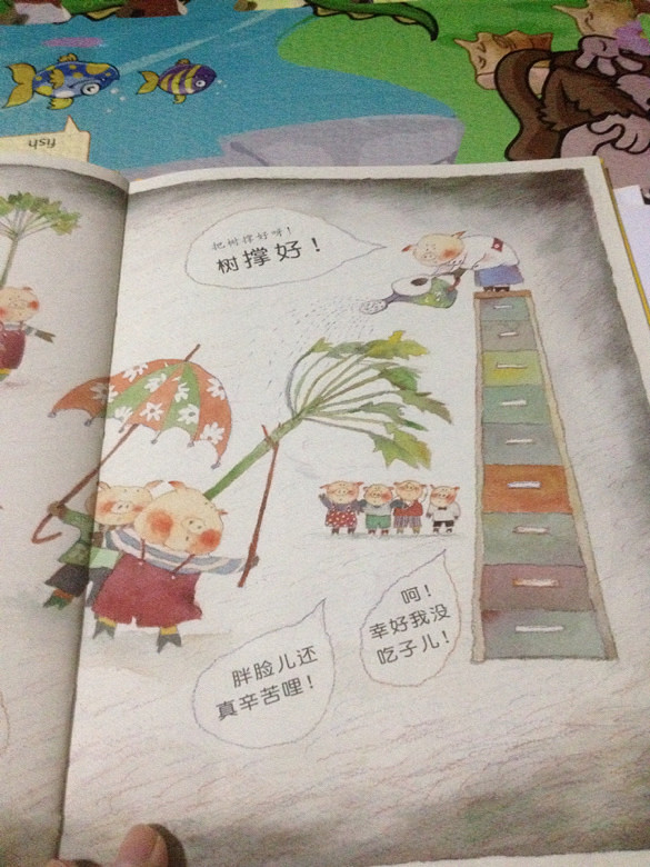 ��6�»汾���Ӷ�������