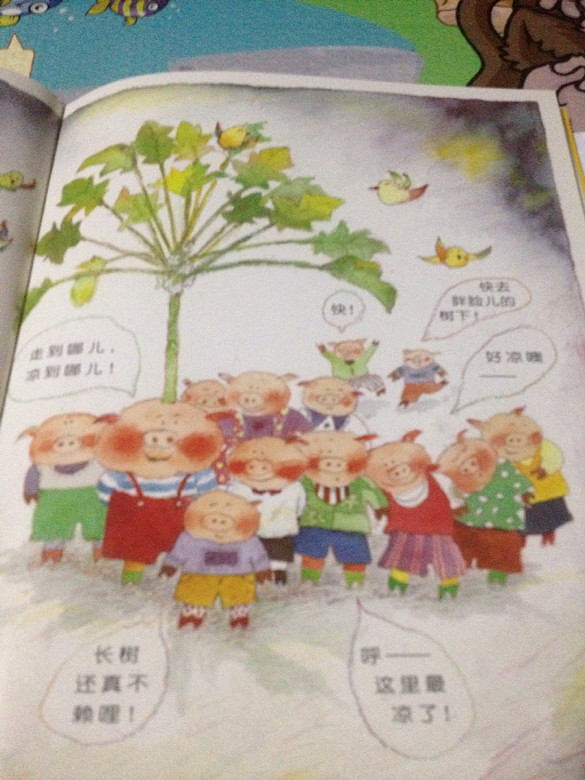 ��6�»汾���Ӷ�������