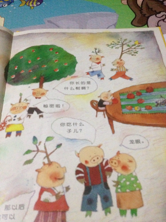 ��6�»汾���Ӷ�������